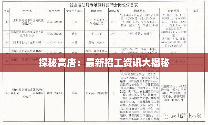 探秘高唐：最新招工资讯大揭秘