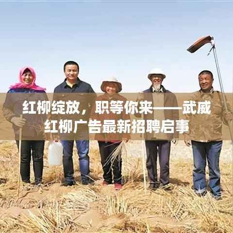 红柳绽放，职等你来——武威红柳广告最新招聘启事