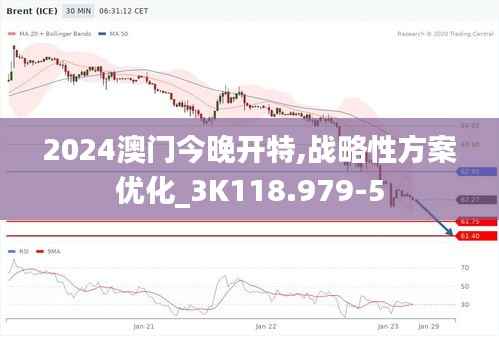 2024澳门今晚开特,战略性方案优化_3K118.979-5
