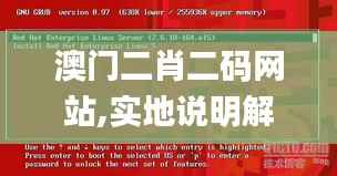澳门二肖二码网站,实地说明解析_Linux62.307