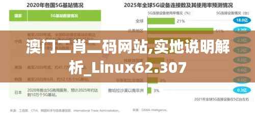 澳门二肖二码网站,实地说明解析_Linux62.307