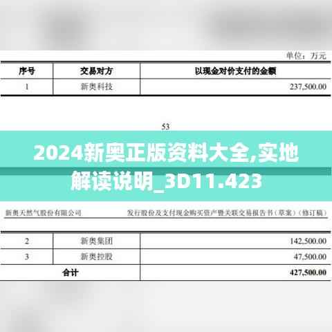 2024新奥正版资料大全,实地解读说明_3D11.423