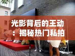 光影背后的王动:揭秘热门私拍的艺术魅力