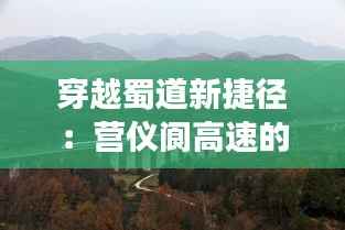 在线支付 第273页