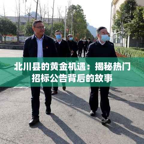 陈力就列 第4页