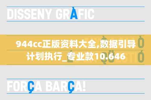 944cc正版资料大全,数据引导计划执行_专业款10.646
