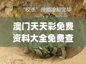 澳门天天彩免费资料大全免费查询狼披羊皮,蛇藏龟壳,前沿分析解析_iPhone5.514