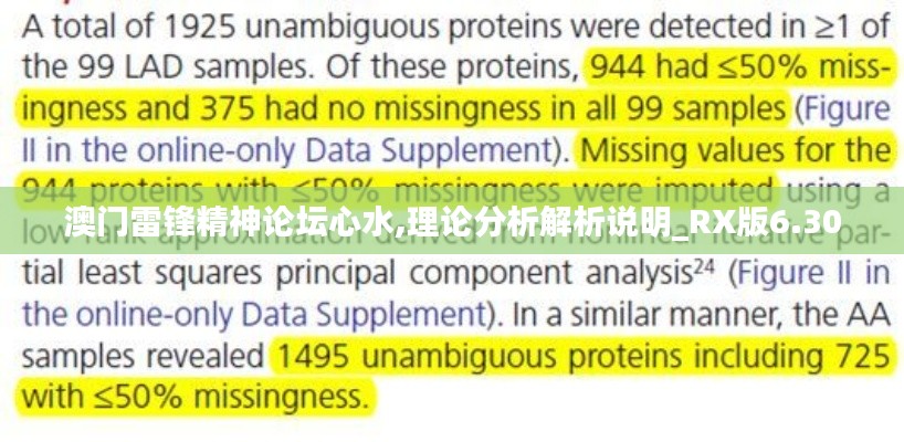 澳门雷锋精神论坛心水,理论分析解析说明_RX版6.300