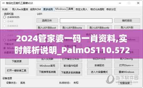 2O24管家婆一码一肖资料,实时解析说明_PalmOS110.572