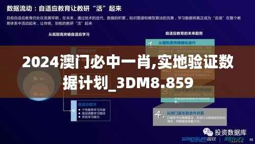 2024澳门必中一肖,实地验证数据计划_3DM8.859