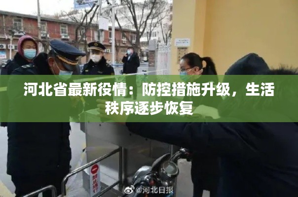 联系方式 第252页