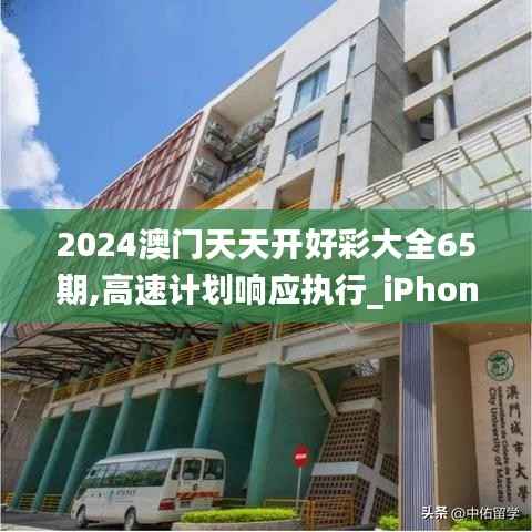 2024澳门天天开好彩大全65期,高速计划响应执行_iPhone2.107
