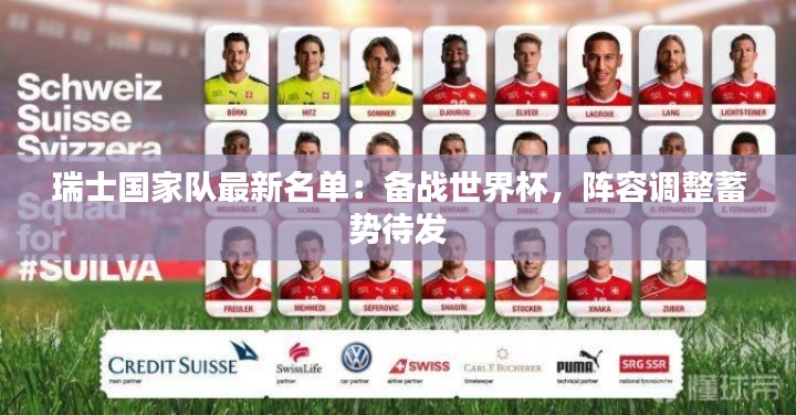 瑞士国家队最新名单：备战世界杯，阵容调整蓄势待发