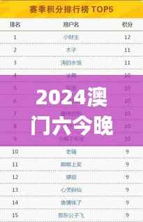 2024澳门六今晚开奖记录113期,诠释说明解析_领航版1.387