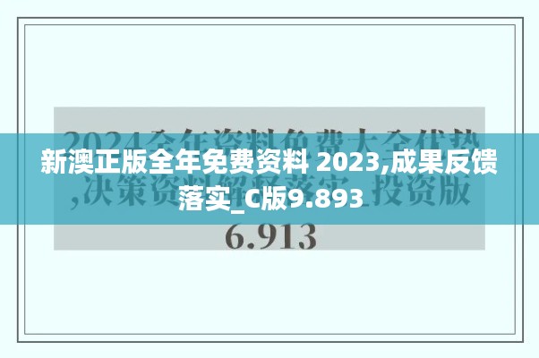 新澳正版全年免费资料 2023,成果反馈落实_C版9.893