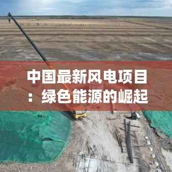 鸟啼花落 第4页