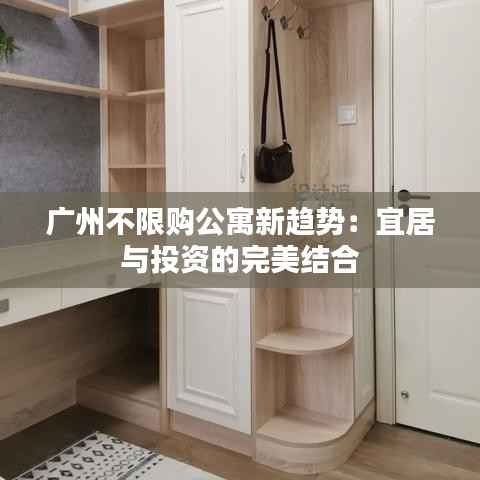 广州不限购公寓新趋势：宜居与投资的完美结合
