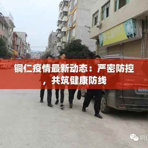 张灯结彩 第4页