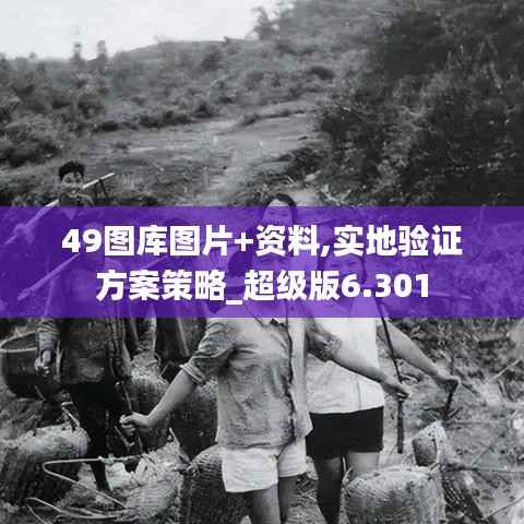 49图库图片+资料,实地验证方案策略_超级版6.301