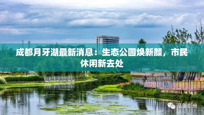 成都月牙湖最新消息：生态公园焕新颜，市民休闲新去处