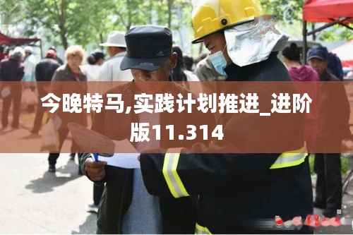 今晚特马,实践计划推进_进阶版11.314
