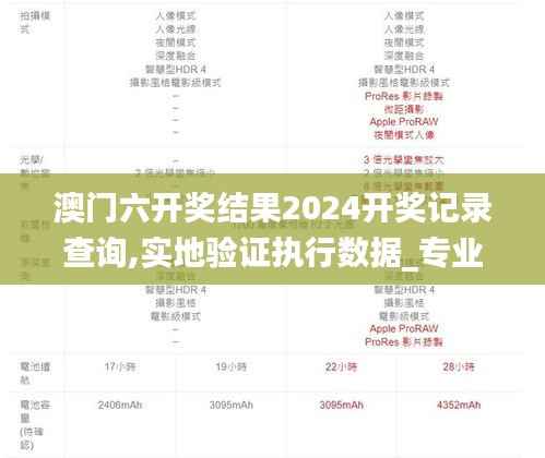 澳门六开奖结果2024开奖记录查询,实地验证执行数据_专业版4.533