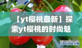 【yt樱桃最新】探索yt樱桃的时尚魅力与流行趋势