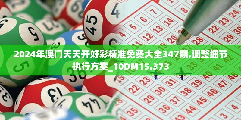 2024年澳门天天开好彩精准免费大全347期,调整细节执行方案_10DM15.373