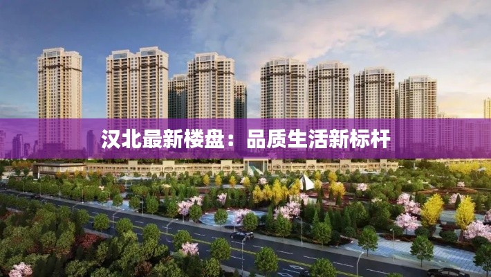 汉北最新楼盘:品质生活新标杆