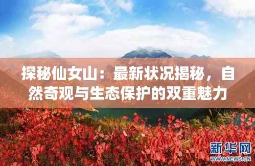 探秘仙女山：最新状况揭秘，自然奇观与生态保护的双重魅力