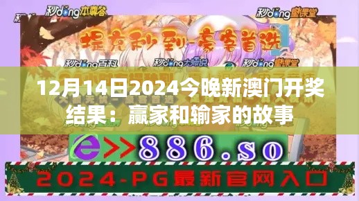 12月14日2024今晚新澳门开奖结果:赢家和输家的故事