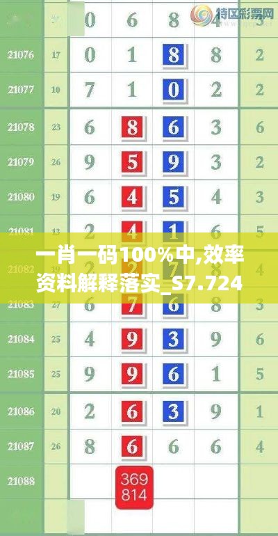一肖一码100%中,效率资料解释落实_S7.724