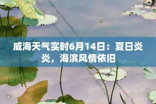 威海天气实时6月14日:夏日炎炎,海滨风情依旧