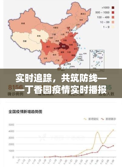 实时追踪，共筑防线——丁香园疫情实时播报全解析