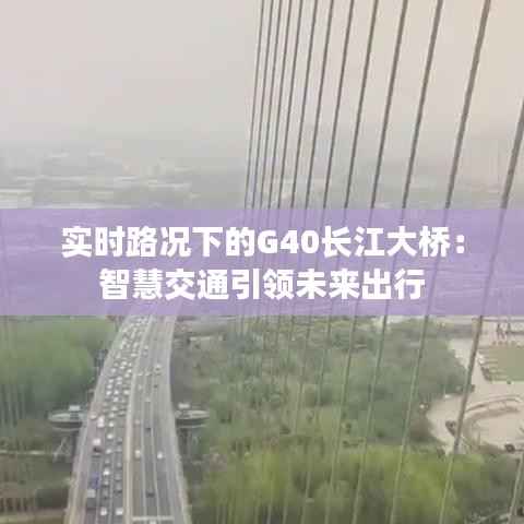 实时路况下的G40长江大桥:智慧交通引领未来出行