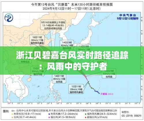 浙江贝碧嘉台风实时路径追踪:风雨中的守护者