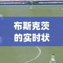 布斯克茨的实时状态：足球场上的智慧之眼