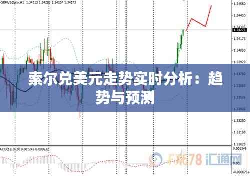 索尔兑美元走势实时分析:趋势与预测