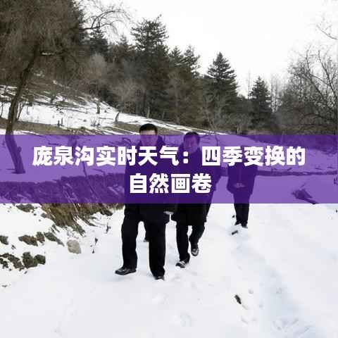 庞泉沟实时天气:四季变换的自然画卷