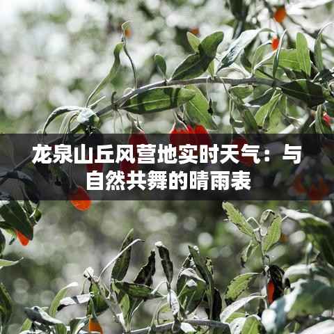 龙泉山丘风营地实时天气:与自然共舞的晴雨表