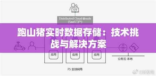 跑山猪实时数据存储：技术挑战与解决方案