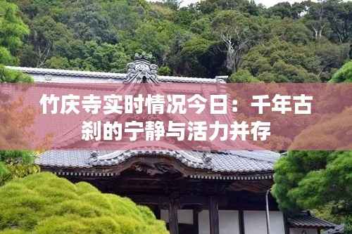 竹庆寺实时情况今日：千年古刹的宁静与活力并存