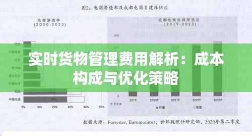 实时货物管理费用解析：成本构成与优化策略