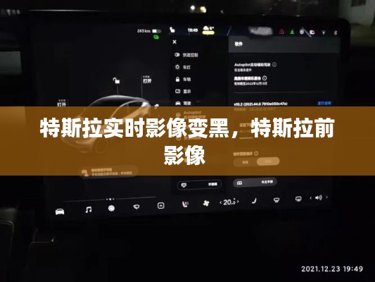 特斯拉实时影像变黑,特斯拉前影像