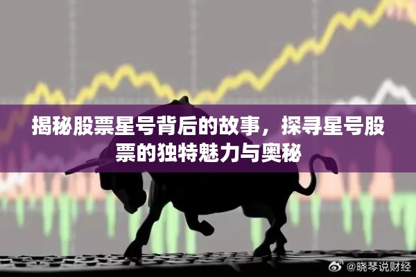 揭秘股票星号背后的故事,探寻星号股票的独特魅力与奥秘