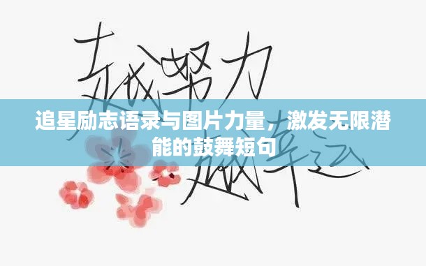 追星励志语录与图片力量，激发无限潜能的鼓舞短句