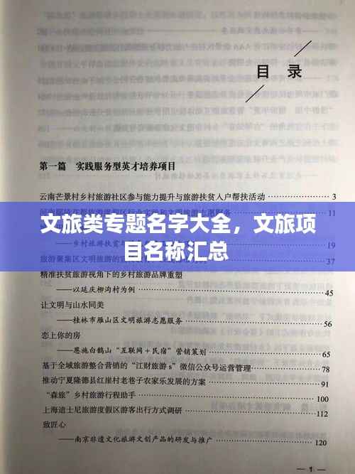 鞭驽策蹇 第3页