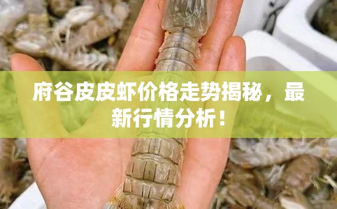 府谷皮皮虾价格走势揭秘，最新行情分析！