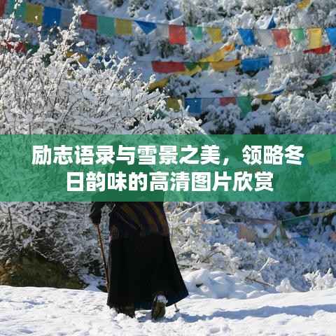 励志语录与雪景之美，领略冬日韵味的高清图片欣赏