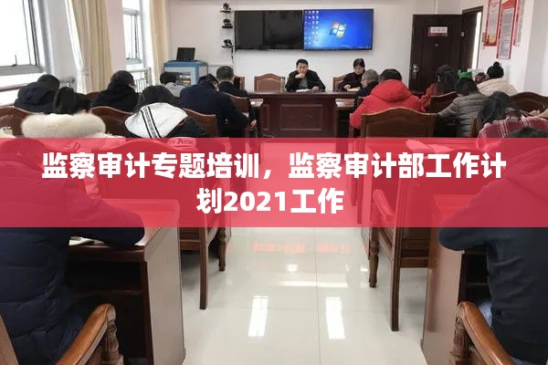 监察审计专题培训,监察审计部工作计划2021工作